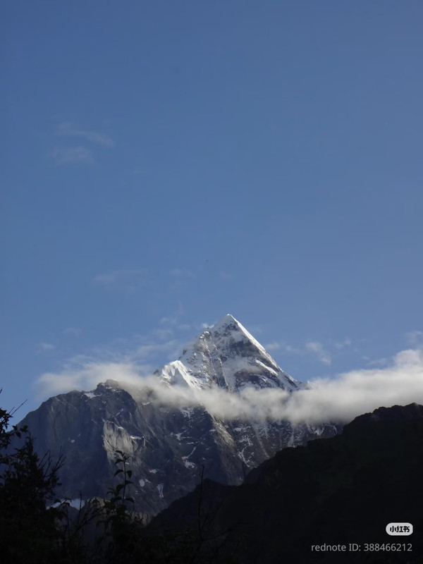 photo 2 2026 01 16 22 03 08