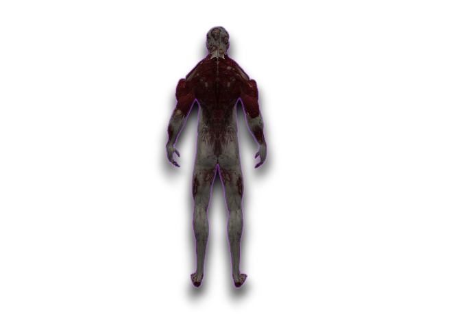 [Image: 2.png]