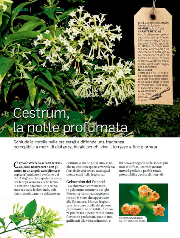 Il Mio Giar Ott-Nov 2023 (5)