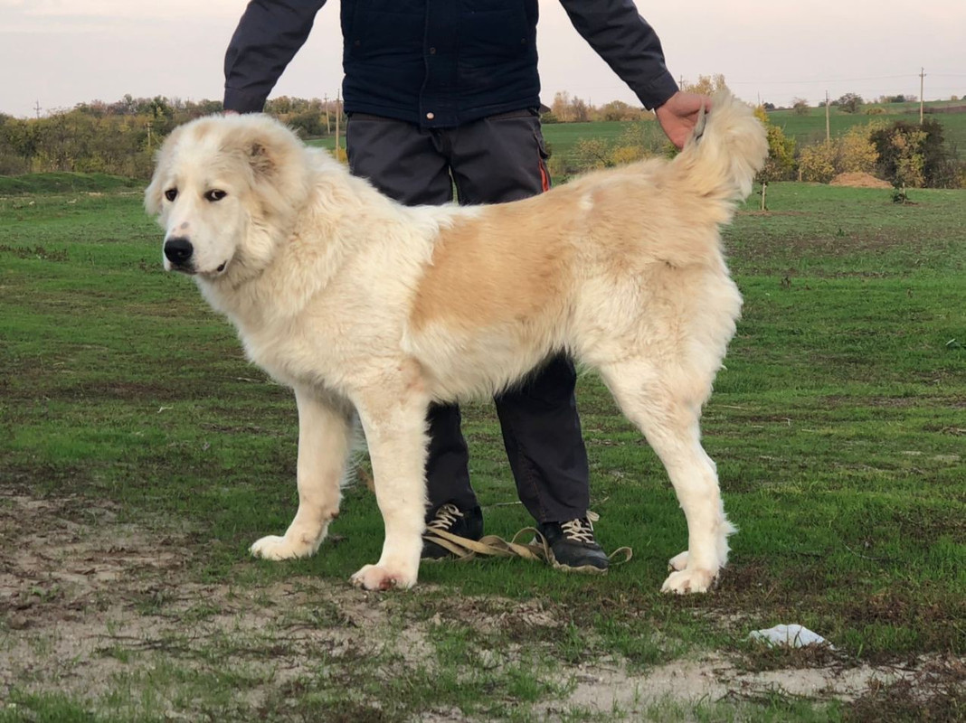 3D90CC75-90C0-4540-A95A-4575ACF4CEC9