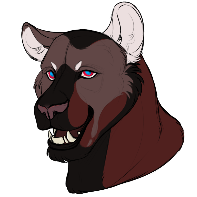 sketchcomm5-altbrow.png