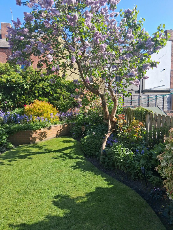 att XIc97a9jc E Ver XBw7y UOk OLOk DXMe DKNPQuf8w GA I