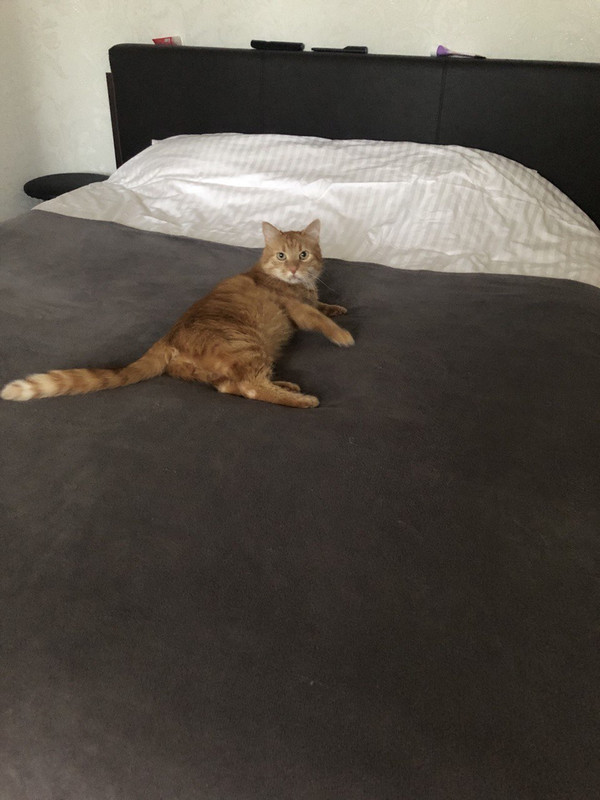 AA065181-A9AF-49E4-8494-1B88A09366AA