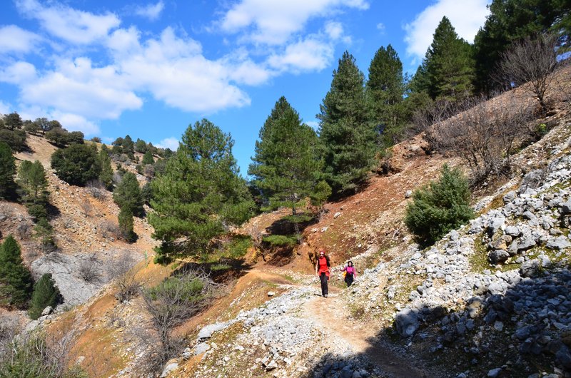 RUTA RIO BOROSA-12-3-2016-JAEN - Paseando por España-1991/2016 (89)