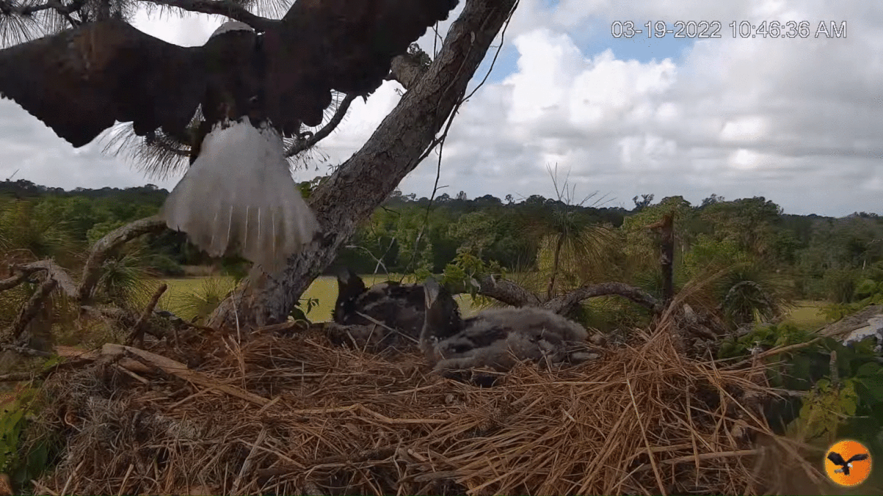 Webp.net-gifmaker (7)