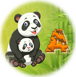 Serie Flia: Madre e Hija, Los Pandas  A