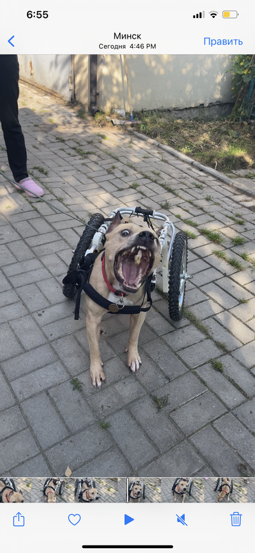 04827802-FAF7-441A-9A91-433441E314E0