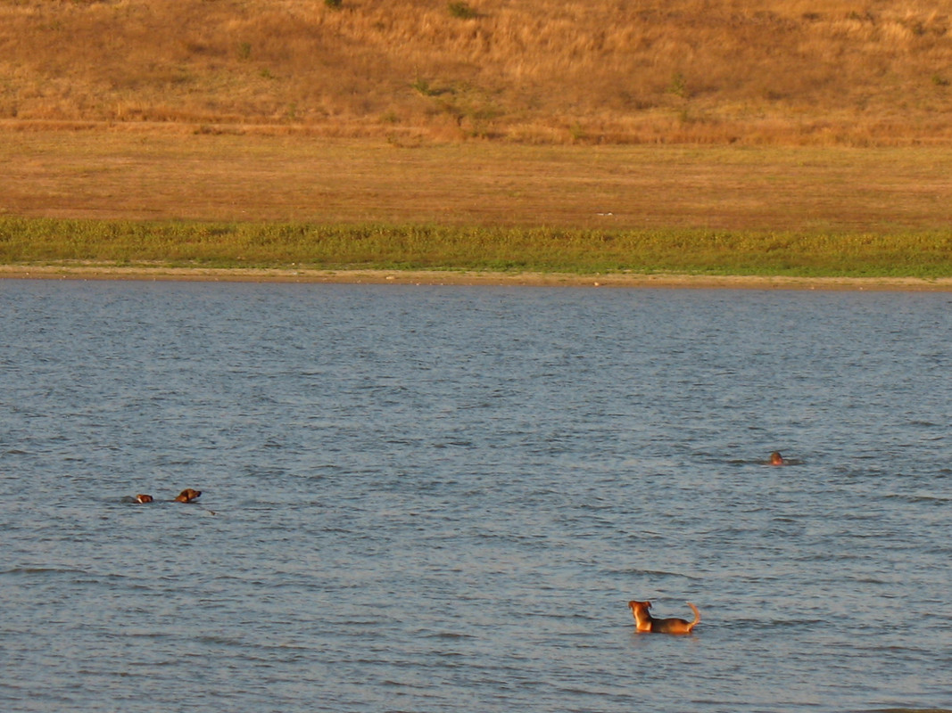 Teknival BG 2013 (109)