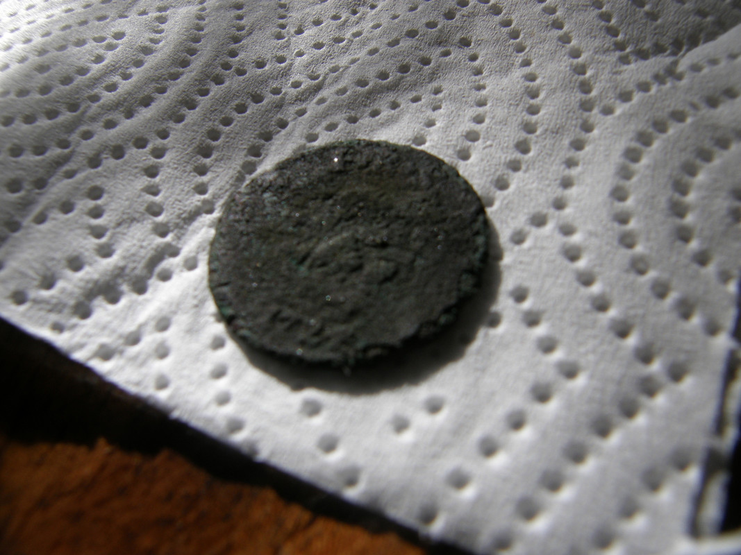 myrsky piippaus 018