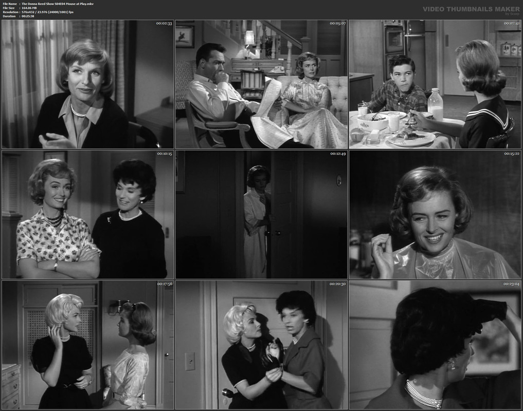 The Donna Reed Show S04E04 Mouse at Play.mkv
