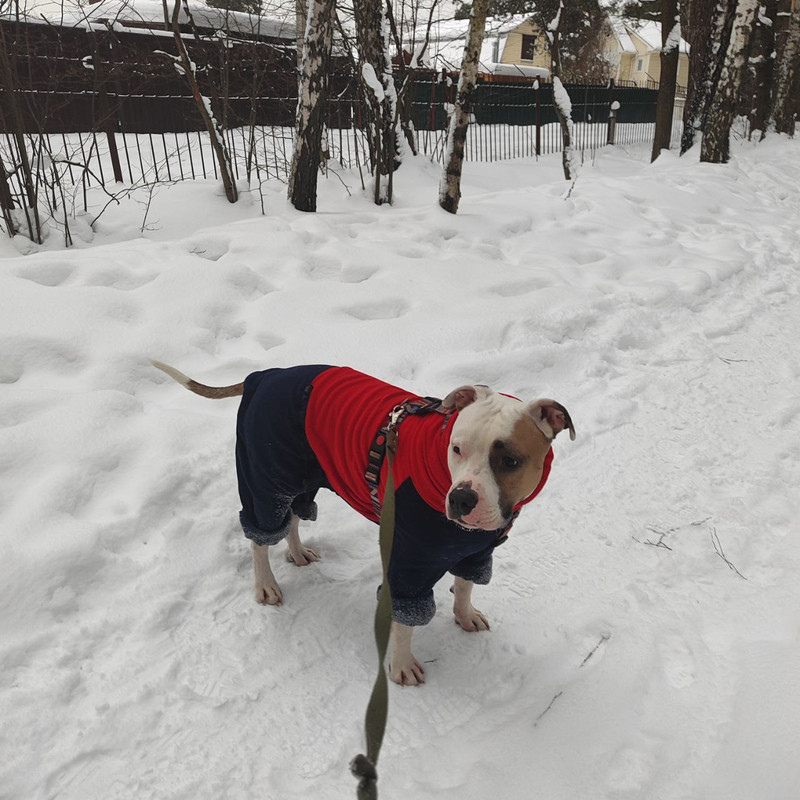 photo_2023-12-14_12-38-23 (2)