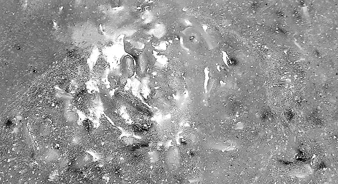 a grainy black-and-white photo of some slop