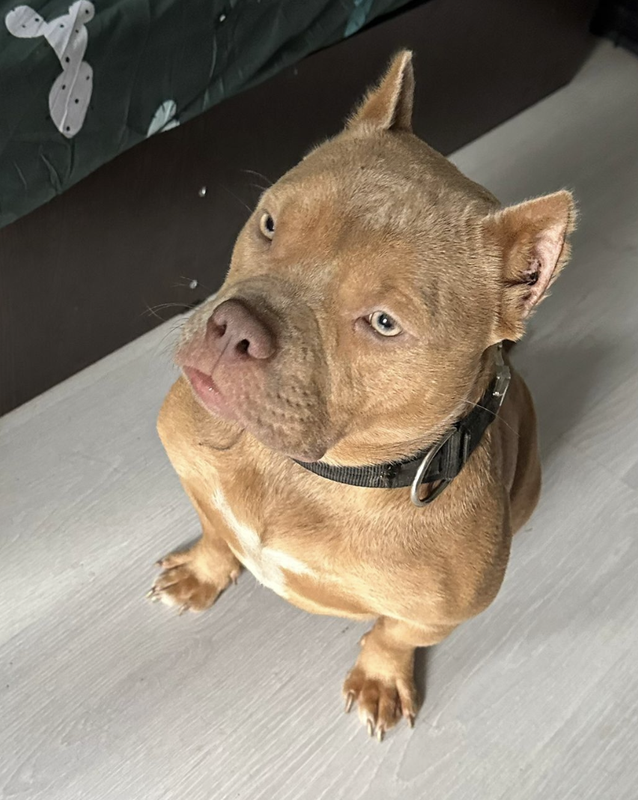 Снимок экрана 2024-12-15 в 18.01.09