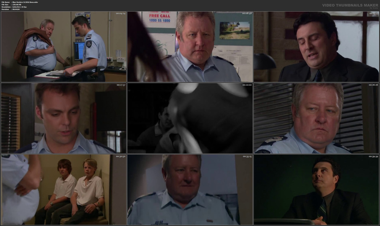 Blue Heelers S13E02 Boss.mkv