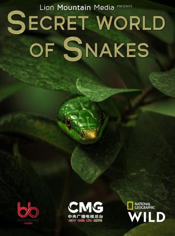 [Kép: The-Hidden-World-of-Snakes.jpg]