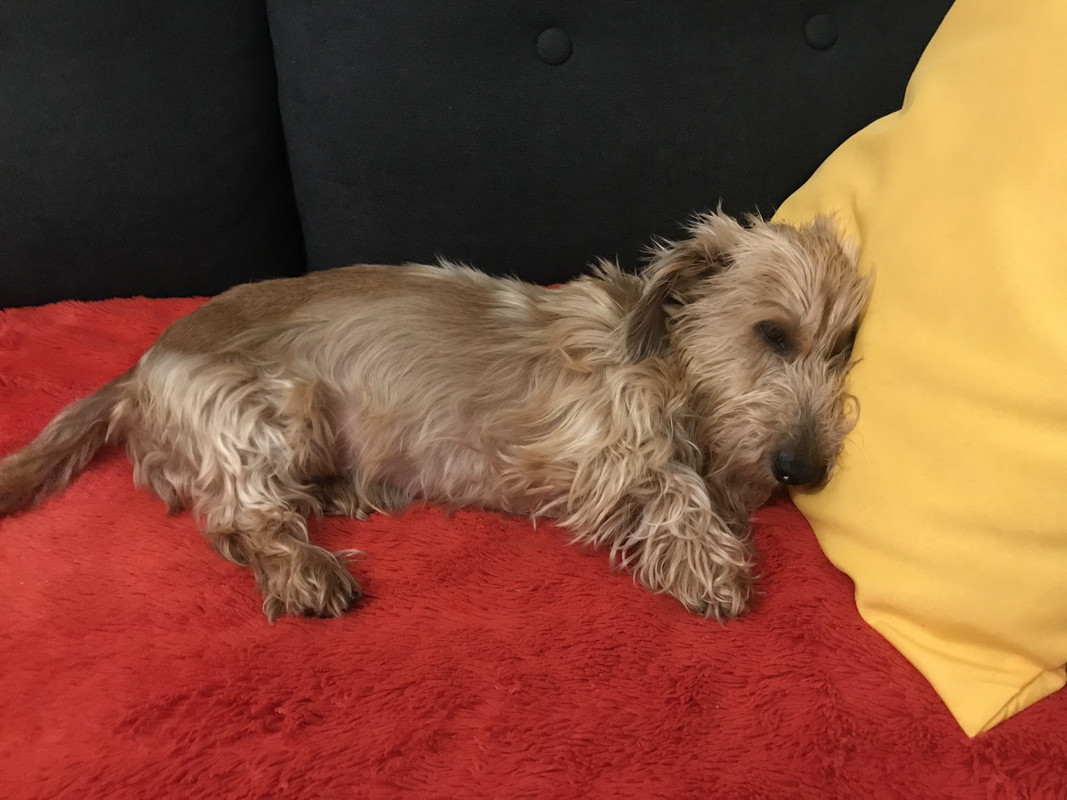 [Image: IMG-1781.jpg]