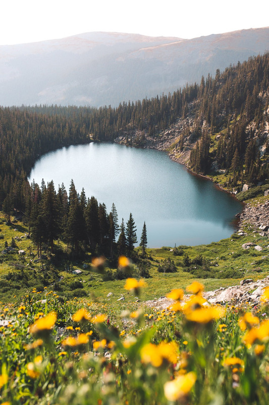 E0pf3fvUUAARXOn [by moosechildd (not a typo) on Twitter]