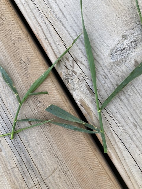 4AE10493-CD78-4D0E-A251-D419347E200F