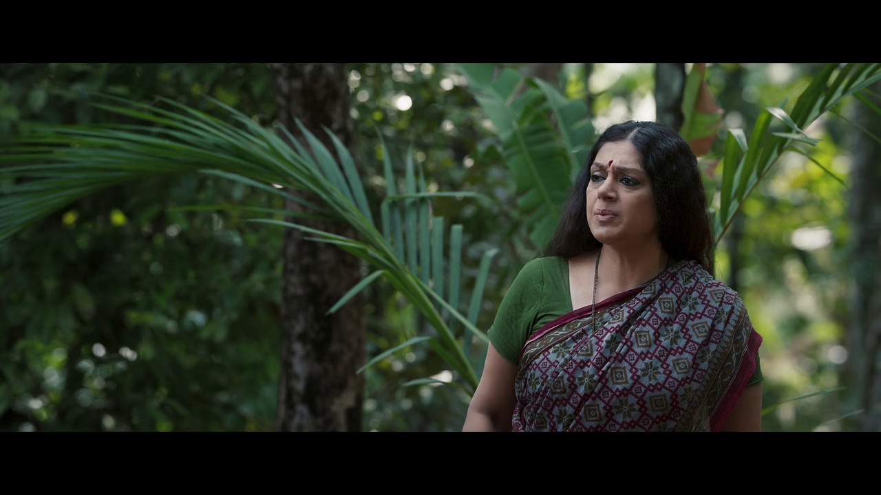 vlcsnap-2025-06-01-15h52m18s126