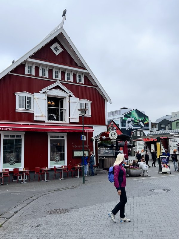 ISLANDIA, 21 DÍAS EN UN 2º VIAJE A LA TIERRA DEL HIELO Y FUEGO - Blogs de Islandia - 16/07/2025 ESTO SE ACABA... NOS DESPEDIMOS EN REIKIAVIK CON OTRA SORPRESA (21)