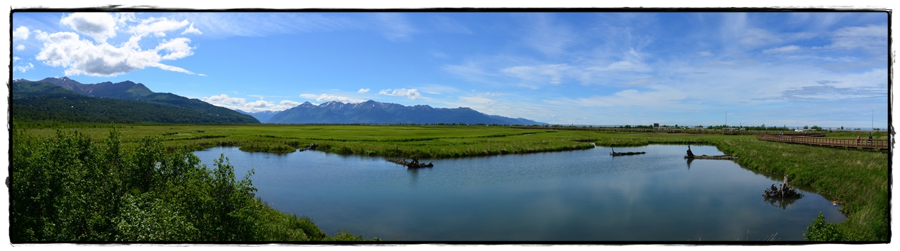 20 de junio. Turnagain Arm, Crow Creek Mine, y… zarpamos! - Alaska por tierra, mar y aire (10)