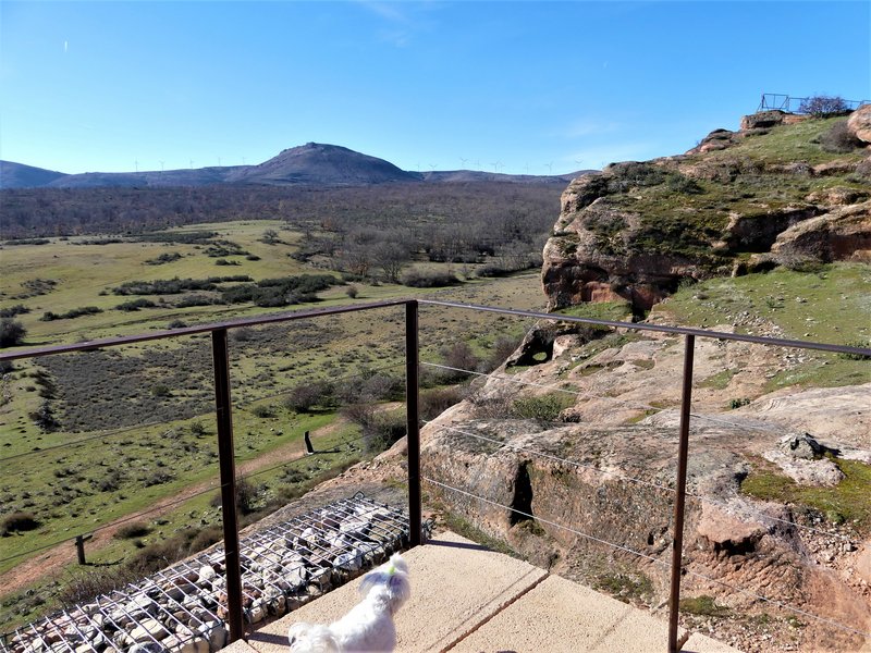 YACIMIENTO ARQUEOLOGICO DE TIERMES-16-2-2020 - Soria y sus pueblos-2010/2013/2020 (38)