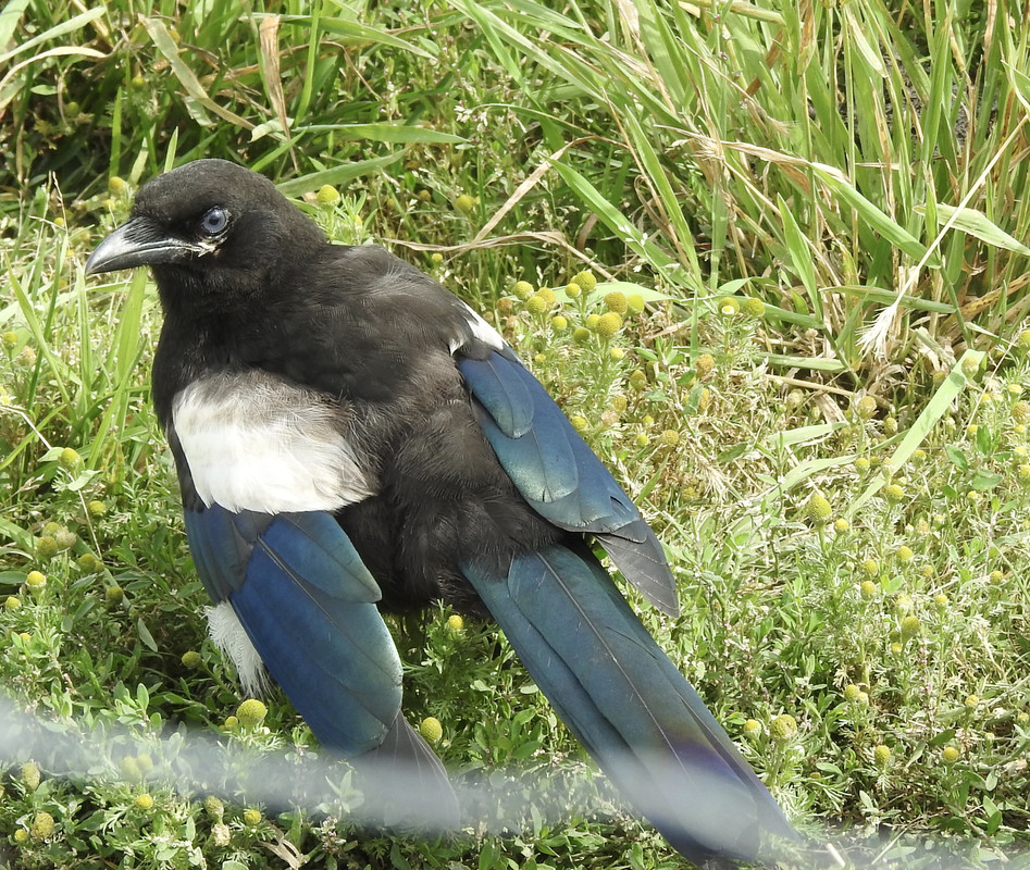 92554C44-6CE6-473B-AFF3-7D11600B3FF9