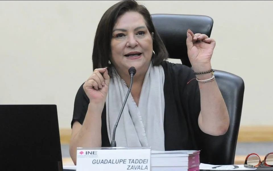 INE acata  sentencia de TEPJF en materia de seguridad: Taddei