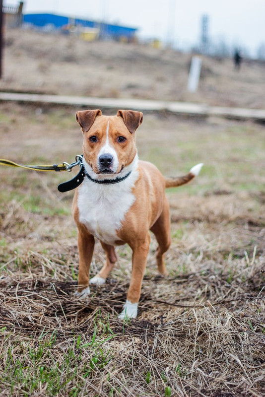 без имени-1190