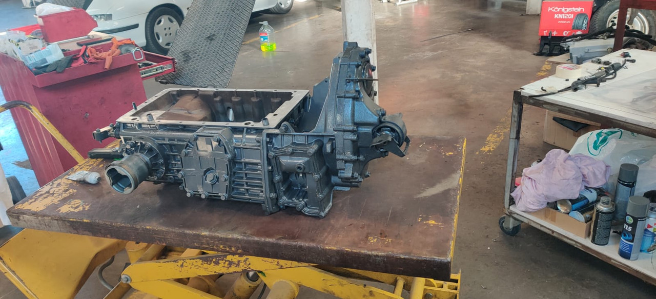 WhatsApp Image 2025-09-01 at 20.06.16 (1)