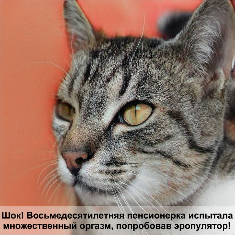 какая кошка самая распространенная