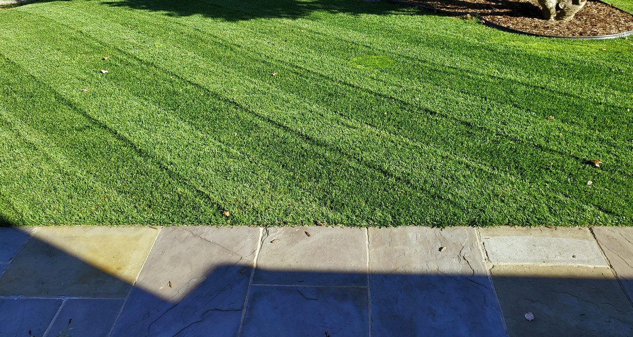 Reel Mow TTTF Lawn Care Forum