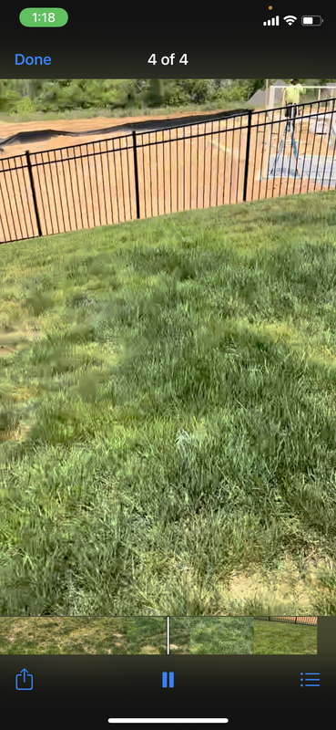 160FF306-1C6E-4EE5-91D4-06D12DC841F9