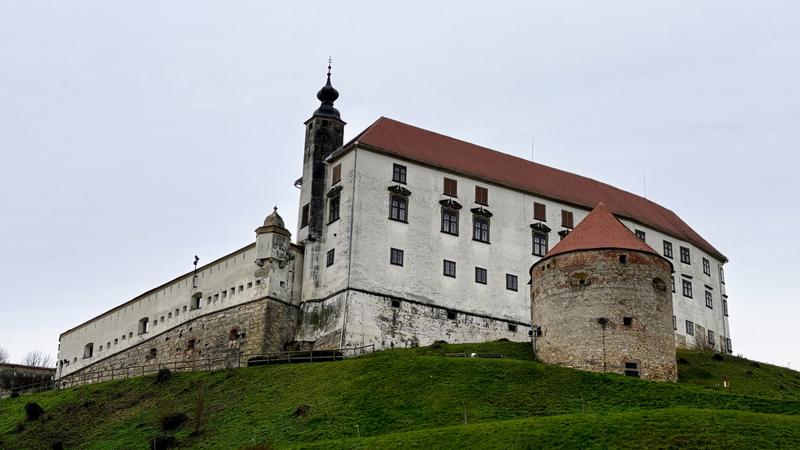 IMG 2755 Copy