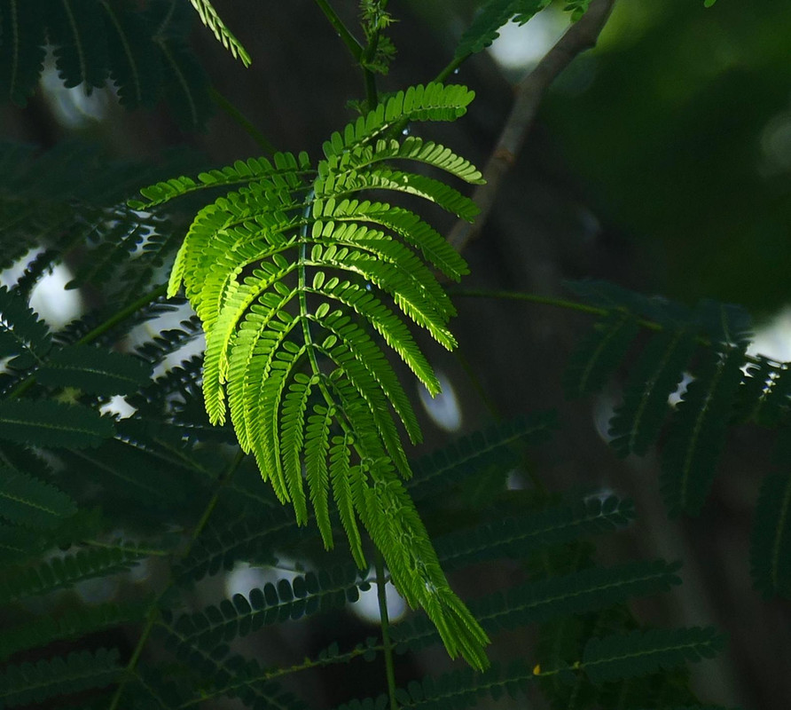 44C9AEF3-AF9D-4C6D-9C40-DCCF29BFE3C7