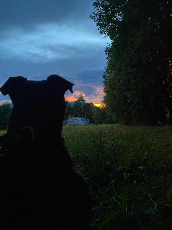 E463FDF5-C4FD-41F6-BD3E-97E8460E1163