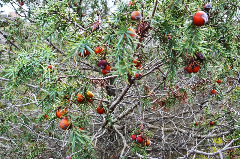 Beleña de Sorbe-14-2-2015 - Guadalajara y sus pueblos-2010/2023 (52)