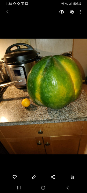 Screenshot_20200716-133823_Gallery