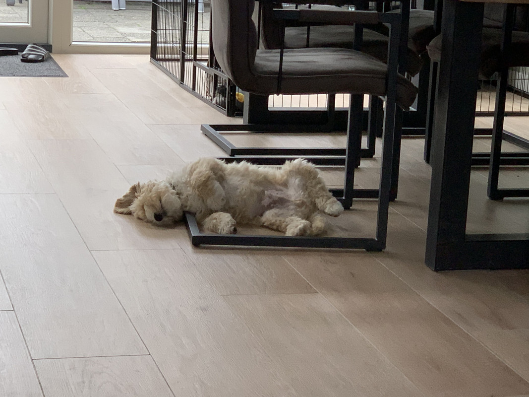 7F213F2E-742F-434F-BF42-8B6F80578C32