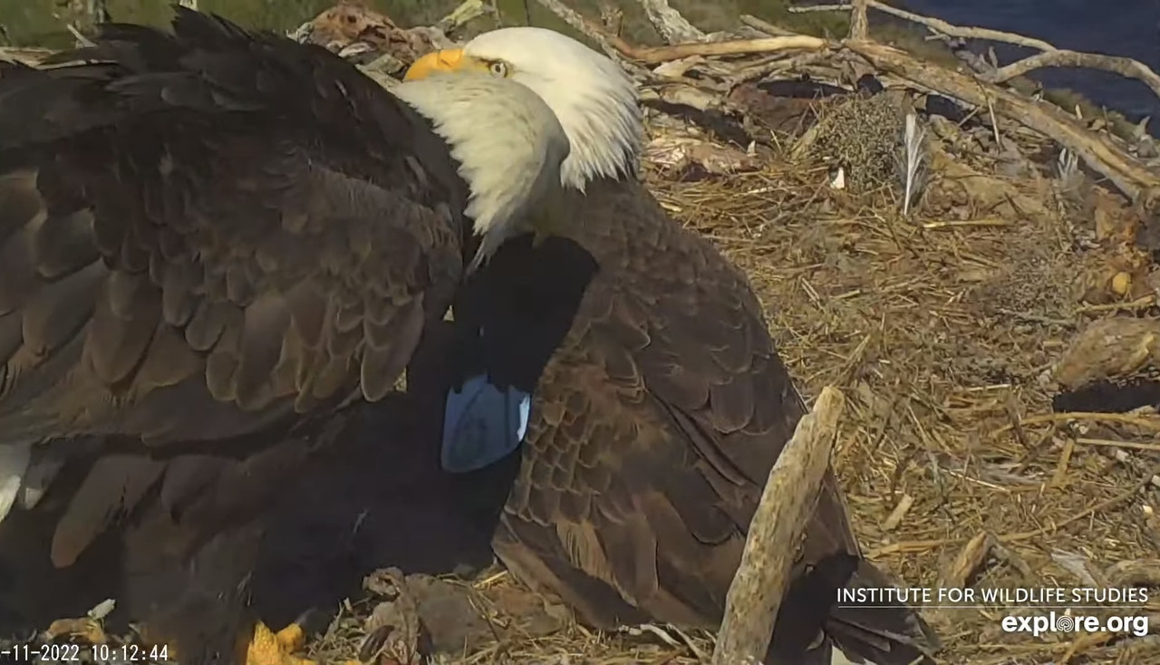 2900DF5E-294F-4CBA-9AE9-8D209810E4D4