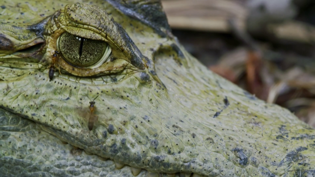 vlcsnap-2023-02-27-14h15m15s525