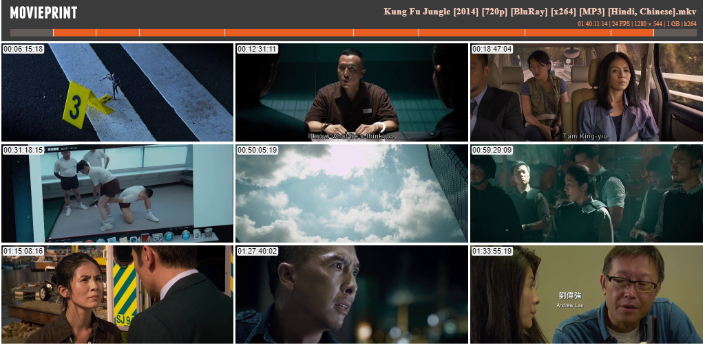Kung Fu Jungle [2014] [720p] [BluRay] [x264] [MP3] [Hindi, Chinese] [Theater Plus]