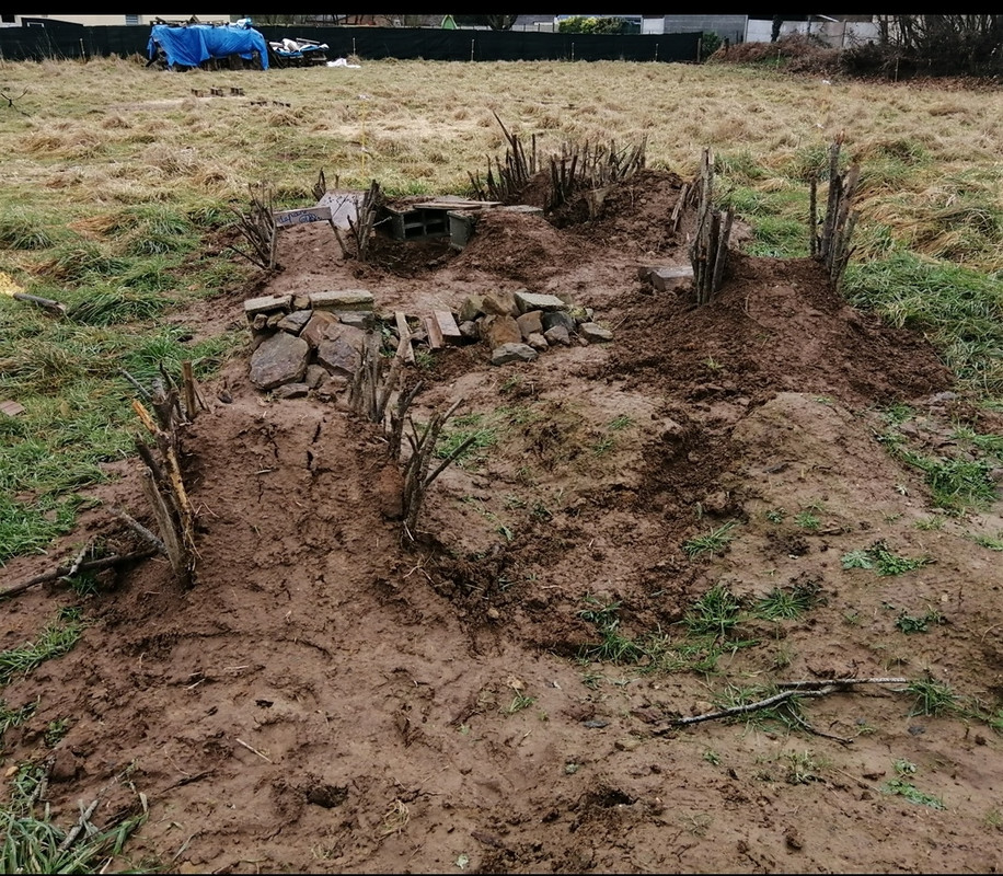 Screenshot_20240123_214217_com.android.gallery3d_edit_181489706477513