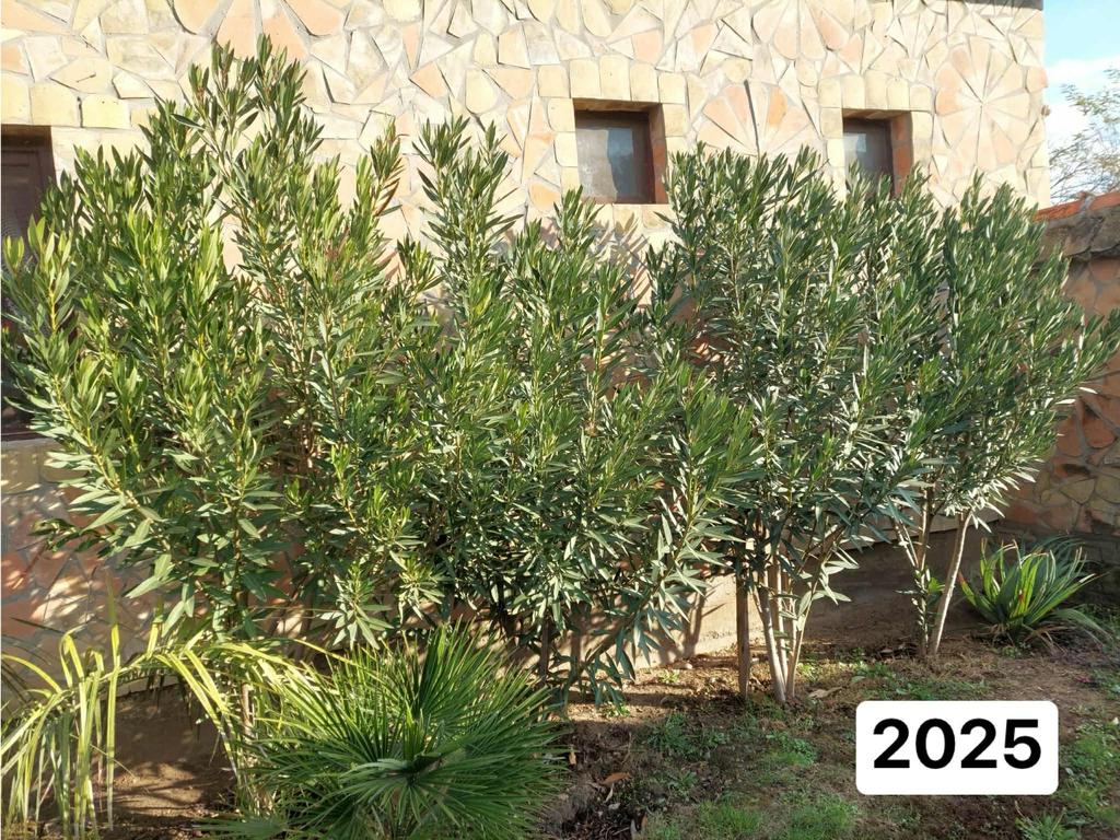 af25b7b6 bd93 4dbc 9935 1e4082bc1c1c