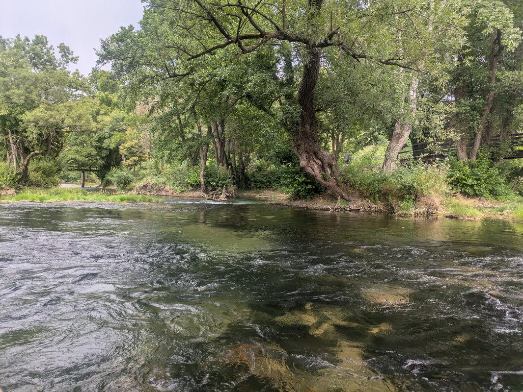 PXL_20240817_144416533