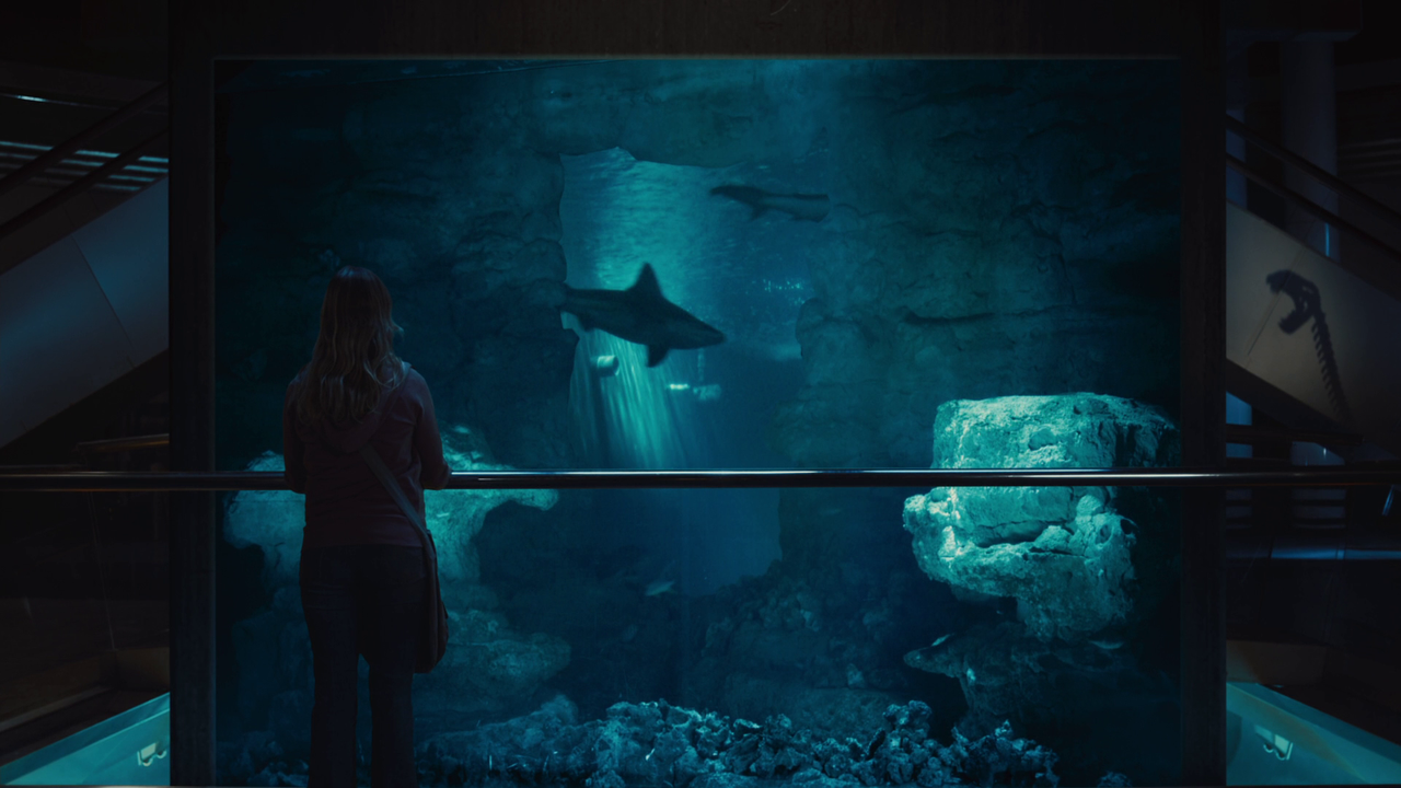 vlcsnap-2023-02-11-16h54m48s314