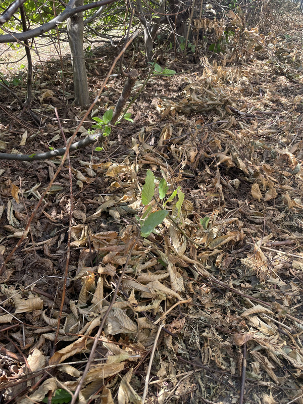 2B254644-E2CE-47CC-85F1-10EEBD7D1079