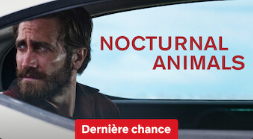 https://i.postimg.cc/ZqMSG4s2/image.png