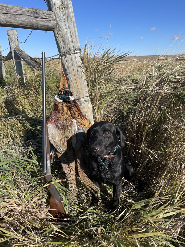 CkxFeIkFTHi2Om1XClqPsw