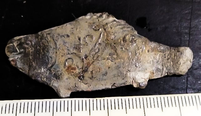 Fish1